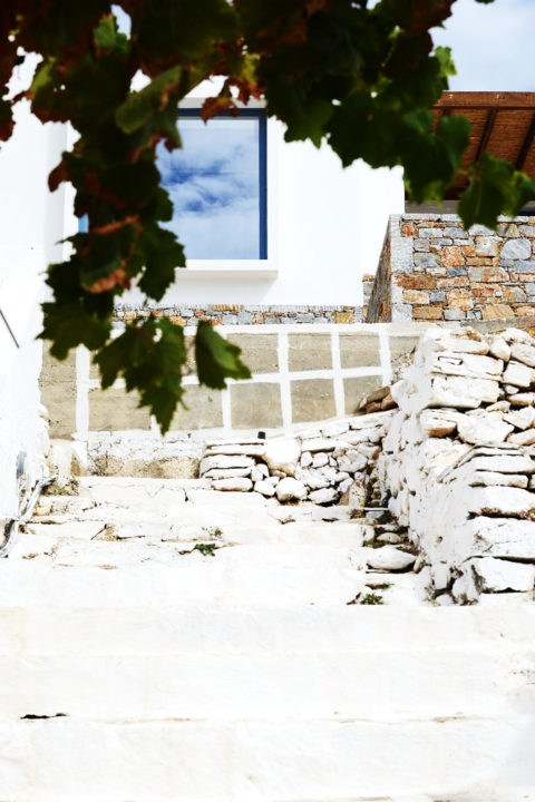 Seakinos gallery photo